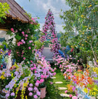 🔥LAST DAY 50% OFF - 🌺Climbing Rose Seeds🏆