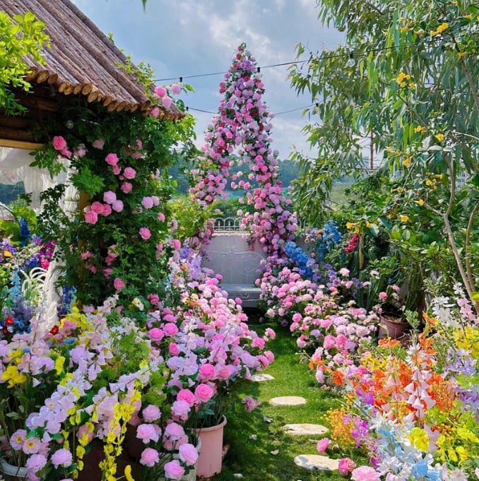 🔥LAST DAY 50% OFF - 🌺Climbing Rose Seeds🏆