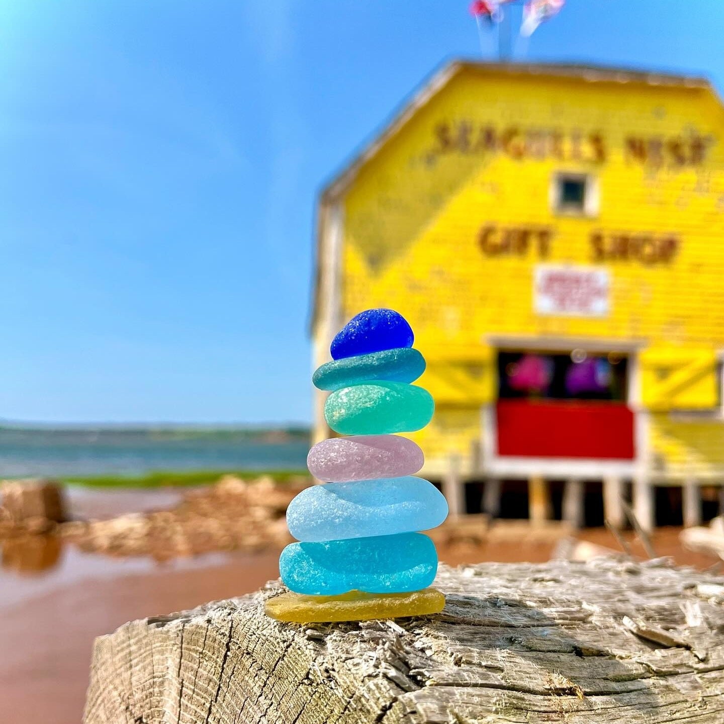 🌈 Sea Glass Birds Hanging Ornament🔥